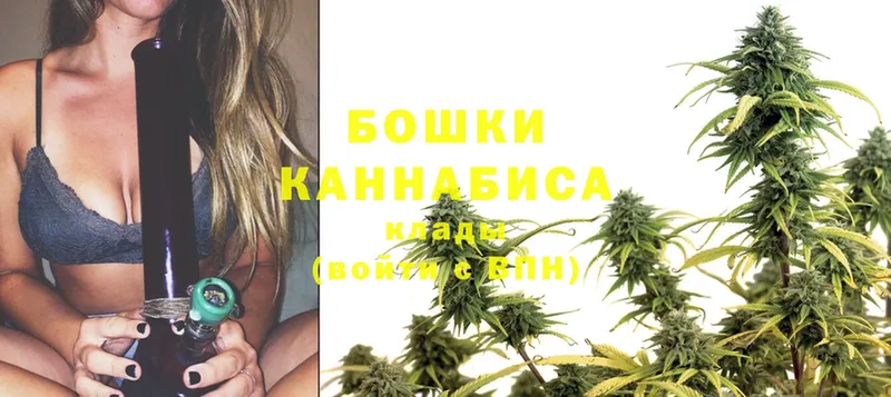 МАРИХУАНА White Widow  магазин продажи наркотиков  OMG вход  Киренск 